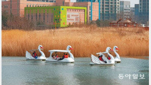 청라호수공원 ‘백조 보트’