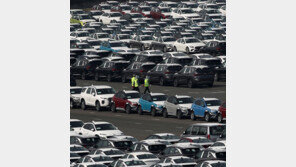 수출 기다리는 완성차들