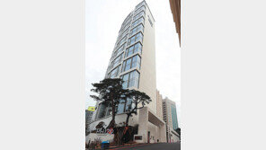 강남 ‘더펜트하우스 청담’ 공시가 163억 1위