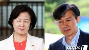 조국과 추미애 합창 “토지공개념, 180석 입법으로 부동산 적폐청산”
