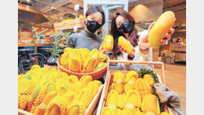 “무지개망고입니다”