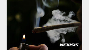 게스트하우스에서 업주와 손님이 대마 흡입?…경찰 수사