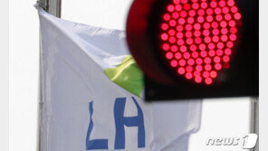 LH 땅투기 이은 ‘공시가격’ 폭탄…“더 낸 보유세, 결국 투기꾼 손에?”