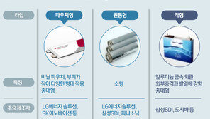 폭스바겐發 충격…LG화학·SK이노 급락 시총 6.5조 증발