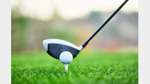 골프장 탈의실서 ‘명품시계’ 탈탈…훔친 금품만 1억3400만 원