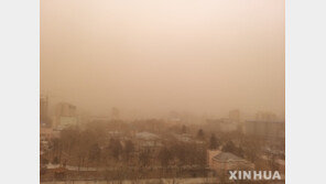 몽골 모래폭풍 사망자 10명으로 확인…실종자 전원 소재 파악