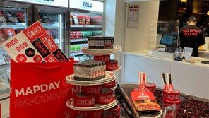 아이스크림은 달다? 맵다!