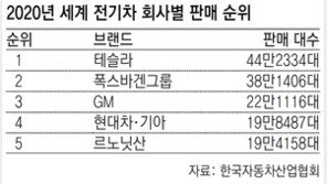 폭스바겐, 中주도 각형 배터리 선택… ‘파우치형’ LG-SK 비상등