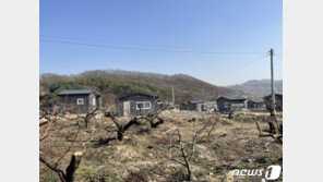 충주 바이오헬스 산단 예정지에도 투기 의혹…‘벌집’ 40여채