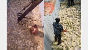 식당의 ‘절규’ “中 김치 안쓰면 장사 못해요”…김치 반찬서 빼버린 식당도