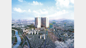 신도시급 뉴타운 개발 혜택에 환승역세권 편리함 누릴 오피스텔