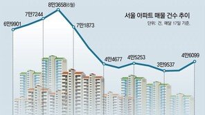 아파트 ‘절세 매물’ 늘었지만… “집값 하락은 힘들듯” 