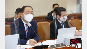 홍남기 “부동산 불법 수사·처벌하는 분석원 설립”