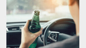 대낮 외제차 훔친 20대 “개 짖으니 찾아가” 전화했다 붙잡혀