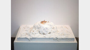 1010만원에 낙찰된 솔비 작품…뭐길래?