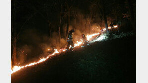 서울 서초구 우면산서 불…3시간 만에 완진