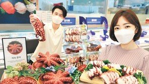 국산 문어 절반값 할인판매