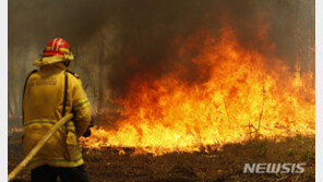춘천서 들불 발생,  80대 남성 불에 타 숨져