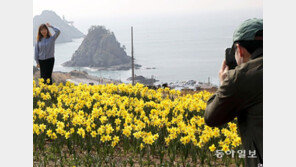 오륙도 해맞이 공원 찾은 관광객들