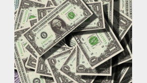 美 달러 약세론 ‘위기’…“얼마나 빨리 국채금리 2%갈까”