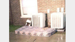 불난 집서 매트리스 던져 뛰어내린 8살…“동생들 구하려고”