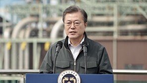 文대통령 “그린뉴딜에 8兆 투자…일자리 23만↑ 만들 것”