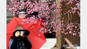 [날씨]‘춘분’ 토요일 전국에 촉촉한 봄비…미세먼지 해소