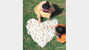 [고양이 눈]친구에게