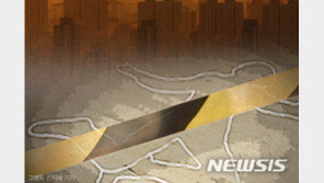 경북 울릉도서 산나물 따러 갔던 50대…숨진 채 발견