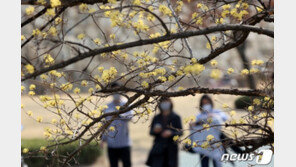 [날씨] 22일 아침기온 0도 내외…일부 영하권 ‘뚝’