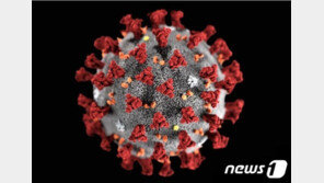 신종 코로나 중간숙주 천산갑일 가능성 99%