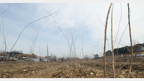 인천경찰청, 3기 신도시 투기 등 33명 확인…대부분 선출직 공무원