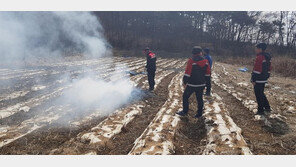 올해 산불 면적, 전년비 9.8배 증가…‘인생 송두리째 날릴수도’