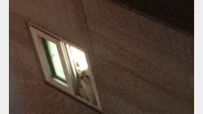 3층 창문틀에 갇힌 반려 고양이 밀어 떨어뜨린 고교생 입건