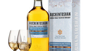 빔산토리 코리아, 오켄토션 소비뇽 블랑 국내 출시