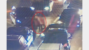 “네 아빠 거지” 막말한 맥라렌 차주, 결국 사과했다