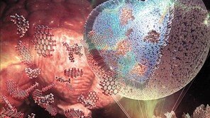 나노약물 ‘그래핀양자점’ 활용 소아성 치매 치료 가능성 제시