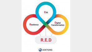 모든 현장 디지털화… 업무 효율성 높여 기회 발굴