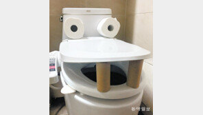 [고양이 눈]악어