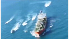 [단독]‘선박나포’ 협상 외교부, 軍에 “호르무즈해협서 청해부대 빼달라”