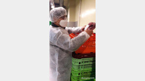 농협, 봄철 축산물 ‘특별 위생 점검’ 실시