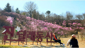 24일부터 원미산 진달래동산 폐쇄