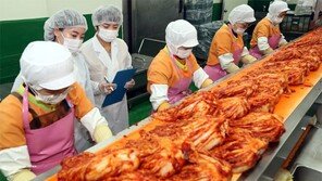 국내산 김치도 위생 점검