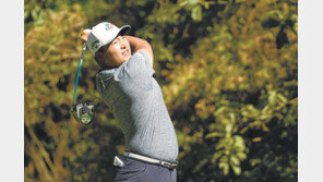 김시우-나상욱-이경훈의 우승 비결은 ‘에픽 드라이버’