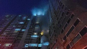 남양주 27층 아파트 3층서 불…100여명 대피, 20명 연기흡입