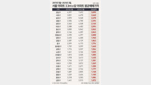 文정부 이후 강남 아파트값 3.3㎡당 3000만원 올라