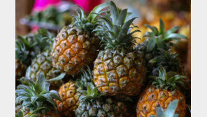 대만 ‘프리덤 파인애플’ 운동 성공했지만 높은 중국 의존에 우려 여전