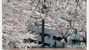 [날씨]‘최고 22도’ 25일 낮 기온 더 올라…큰 일교차 주의