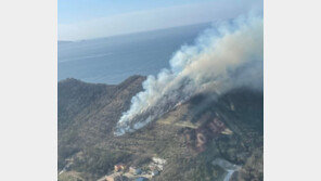 전북 부안 야산서 산불 “바람에 진화 어려워…실화 추정”