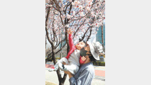 [고양이 눈]첫봄